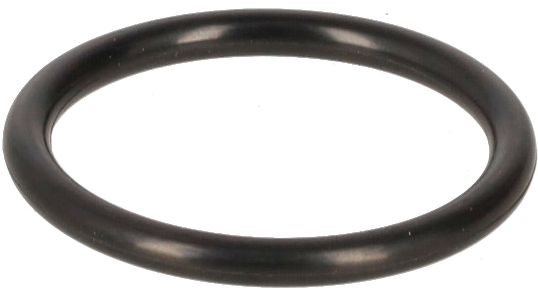 50000187210 O-ring 31 x 3,5 voor bevestigingstuk 1 van HHP-16 afperspomp